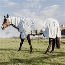Kentucky Derka egzemowa